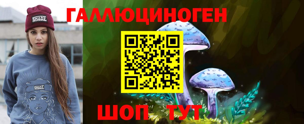 Псилоцибиновые грибы Psilocybine cubensis  Вход с VPN  Сосновоборск  Галлюциногенные грибы GOLDEN TEACHER 